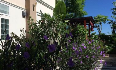 6 Bedroom House for sale in Mueang, Loei