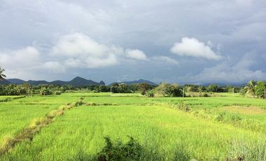 6 Bedroom House for sale in Mueang, Loei