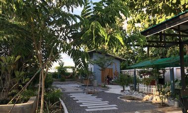 6 Bedroom House for sale in Mueang, Loei