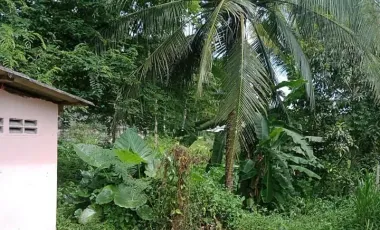 1 Bedroom House for sale in Khao Wiset, Trang