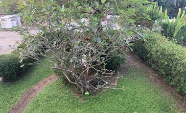 4 Bedroom House for sale at Baan Saransiri Rangsit