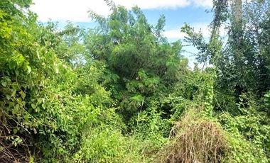 1 Bedroom House for sale in Takhli, Nakhon Sawan