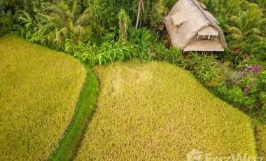1 Bedroom Villa for sale in Ubud, Bali