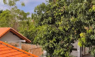 26 Bedroom Villa for sale in Banjar, Bali