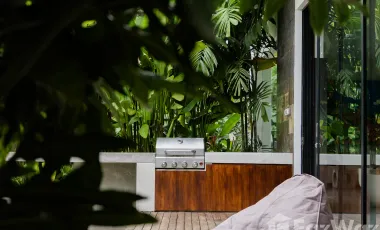 5 Bedroom Villa for sale in Canggu, Bali