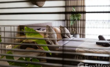 5 Bedroom Villa for sale in Canggu, Bali