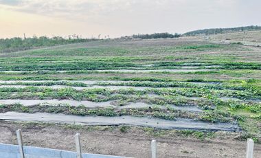 3 Bedroom House for sale in Wang Phloeng, Lop Buri
