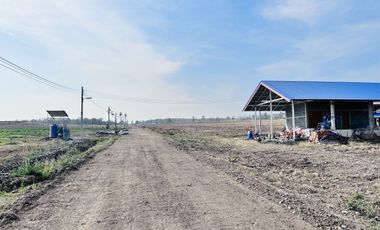 3 Bedroom House for sale in Wang Phloeng, Lop Buri