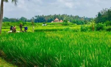 4 Bedroom Villa for sale in Ubud, Bali