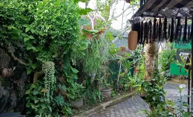 7 Bedroom House for rent in Kediri, Bali