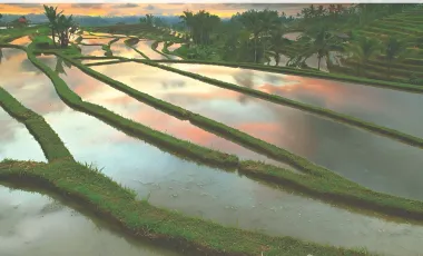 7 Bedroom House for rent in Kediri, Bali