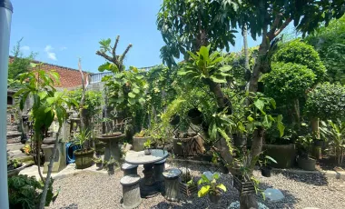 7 Bedroom House for rent in Kediri, Bali