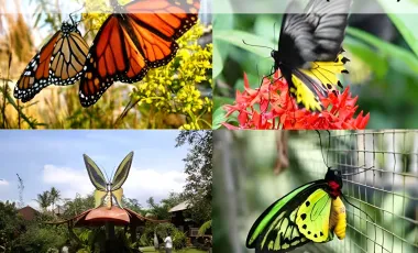 7 Bedroom House for rent in Kediri, Bali