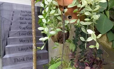 7 Bedroom House for rent in Kediri, Bali