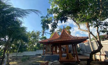 1 Bedroom Villa for rent in Kerambitan, Bali