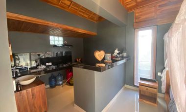 1 Bedroom Villa for rent in Kerambitan, Bali