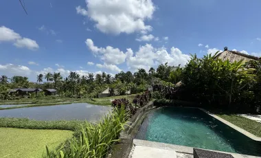 24 Bedroom Hotel for sale in Ubud, Bali