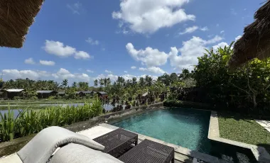 24 Bedroom Hotel for sale in Ubud, Bali