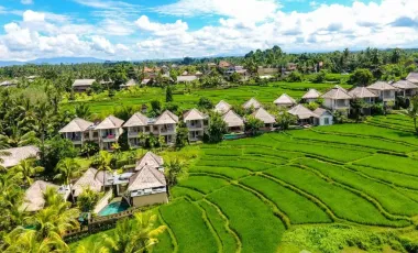 24 Bedroom Hotel for sale in Ubud, Bali