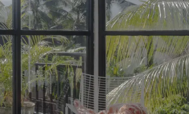 3 Bedroom Villa for sale in Ubud, Bali