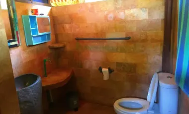 3 Bedroom Hotel for sale in Karangasem, Bali