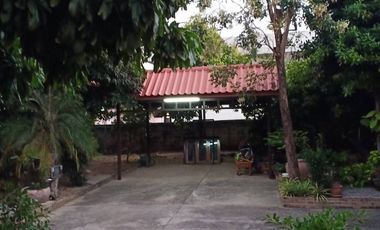 3 Bedroom House for sale in Tha Thong, Sukhothai