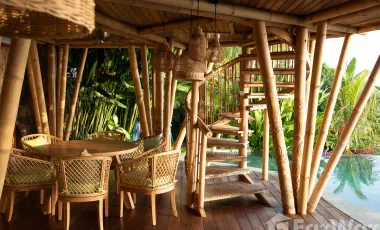 13 Bedroom Villa for sale in Abang, Bali