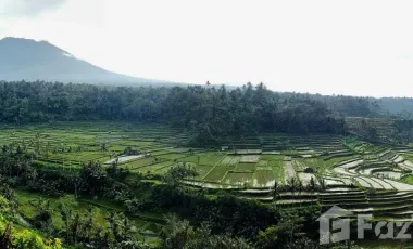 Hotel for sale in Rendang, Bali