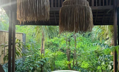 1 Bedroom Villa for sale in Sayan, Bali