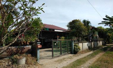 3 Bedroom House for sale in Tha Ngio, Nakhon Sawan