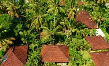 9 Bedroom Hotel for sale in Karangasem, Bali