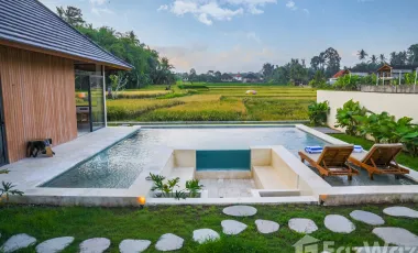 3 Bedroom Villa for sale in Pejeng, Bali