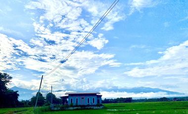 3 Bedroom House for sale in Pua, Nan