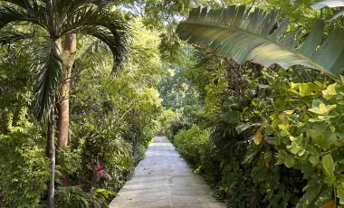 4 Bedroom Villa for sale in Abang, Bali