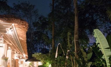 3 Bedroom Villa for sale in Kediri, Bali