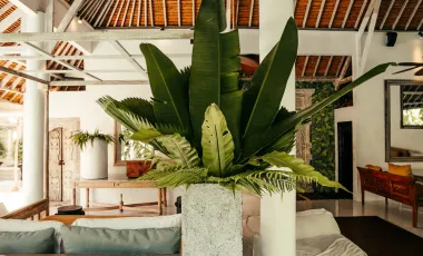 3 Bedroom Villa for sale in Kediri, Bali