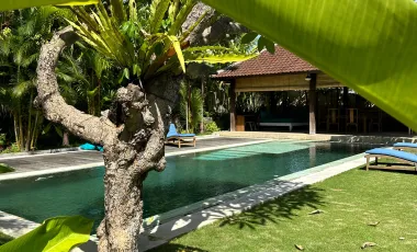 5 Bedroom Villa for sale in Mengwi, Bali