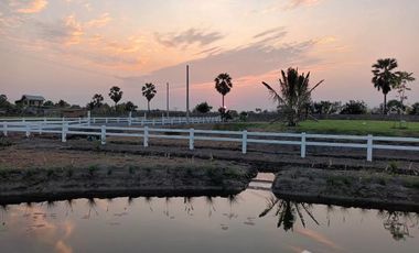 1 Bedroom House for sale in Bang Luk Suea, Nakhon Nayok