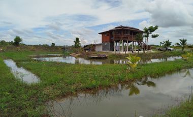 1 Bedroom House for sale in Bang Luk Suea, Nakhon Nayok
