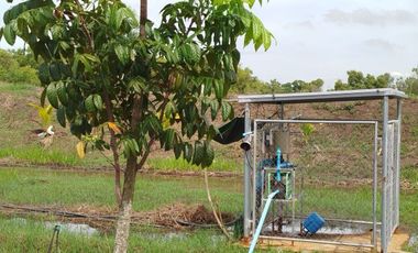 1 Bedroom House for sale in Bang Luk Suea, Nakhon Nayok
