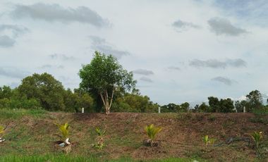 1 Bedroom House for sale in Bang Luk Suea, Nakhon Nayok
