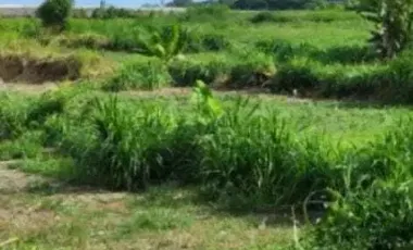 Land for sale in Denpasar Selata, Bali