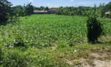 Land for sale in Denpasar Selata, Bali