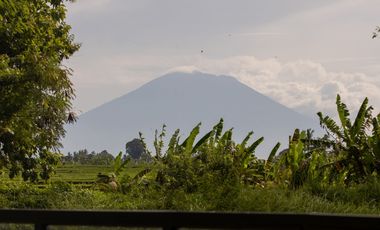 4 Bedroom Villa for sale in Kediri, Bali