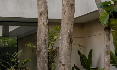 4 Bedroom Villa for sale in Kediri, Bali