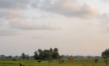 4 Bedroom Villa for sale in Kediri, Bali