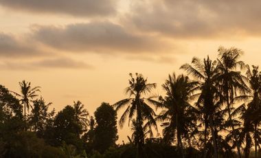 4 Bedroom Villa for sale in Kediri, Bali