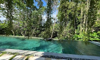 4 Bedroom Villa for sale in Sukawati, Bali