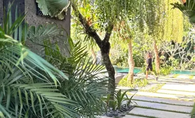 4 Bedroom Villa for sale in Sukawati, Bali