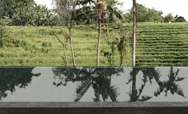 4 Bedroom House for sale in Kediri, Bali